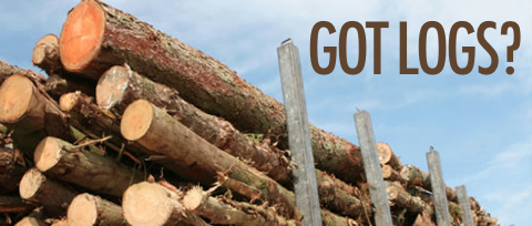 The Christian Logging Industry: Hairstyles, Hypocrisy, and How to Fix It