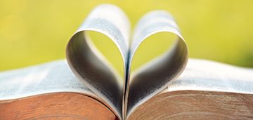 Study Guides That Will Help You Fall in Love with the Bible