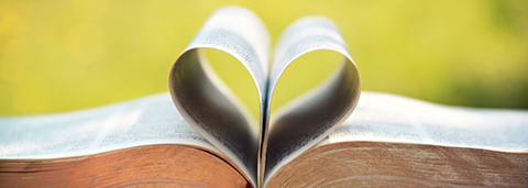 Study Guides That Will Help You Fall in Love with the Bible