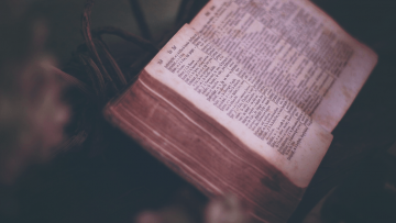 Bible Things You Never Knew - Header Image