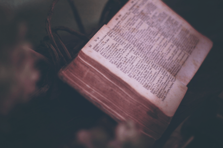 20 Bible Things You Never Knew - Sharefaith Inc.