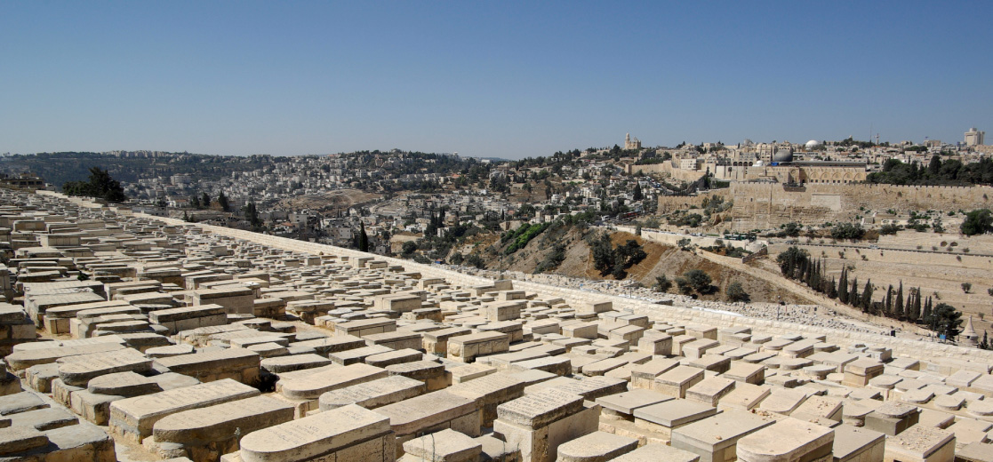 20 Bible Things You Never Knew Sharefaith Inc.