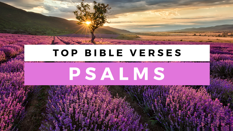Top Psalms Of The Bible - Best Psalms Of The Bible