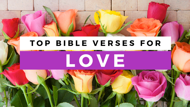 Bible Verses About Love - Sharefaith